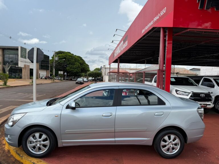 WhatsApp Image 2026-02-18 at 13.01.02 (1)